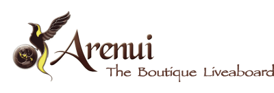 The Arenui