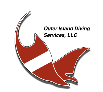 From Blue to Brilliant: Diving Into Underwater Imaging - $100