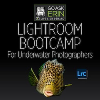 Lightroom Bootcamp for Underwater Photographers