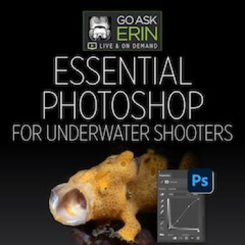 Essential Photoshop For Underwater Shooters