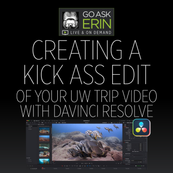 Creating A Kick Ass Edit Of Your UW Trip Video With DaVinci Resolve
