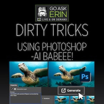 Dirty Tricks For Underwater Photographers Using Lightroom And Photoshop - Ai Baby!